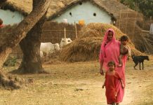 नेपाली सरकारलाई मधेशी किन विरानो ? (विचार : भाग तीन)
