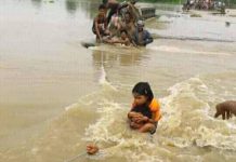 स्वराज फाउण्डेशनले राहत संकलन गर्दै, एक दिनमै एक लाख