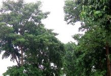 मधेशका जिल्लाहरु डुवानमा, दर्जनौं गाउँ जोखिममा