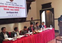 मधेशी आयोग ‘विना दाँतको बिरालो’