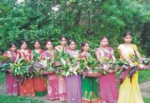 किन मनाइन्छ मधुश्रावणी, मिथिलाञ्चलमा रौनक