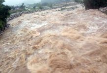 बाढीले २५ करोडको माछा बगाएपछि दुई हजार ९१ किसान मारमा