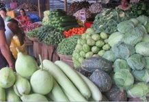 फलेवास नगरपालिकाले तेइस प्रकारका कृषिजन्य वस्तुमा कर लगाउने