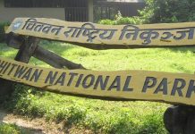 बाढीले बगाएर भारत पु¥याएको गैँडाको उद्धार गरी आज ट्रकमा राखी चितवन ल्याइयो