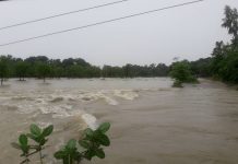 पीडितको यथाशीघ्र उद्धार र राहत दिलाउन ध्यानाकर्षण