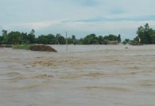 वर्षासँगै आएको बाढीले १९ करोडको माछा बगायो