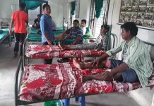 पुर्वी तराईमा सर्पदशंका विरामीहरुको संख्या बढ्दै