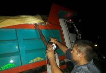मिर्चैयाबाट खयरका गोलिया बोकेको ५ ट्रक पक्राउ