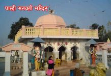 ऐतिहासिक पाल्ही भगवती मन्दिर उचित प्रचारप्रसारको अभावका कारण ओझेलमा