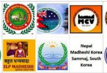 विश्वभरीका मधेशी संगठनहरु एकीकृत हुँदै, मधेश बारे सर्वेक्षण हुने