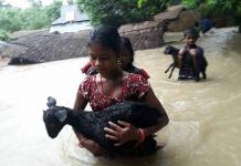 मधेशको बाढी सम्भावित क्षेत्रको संयुक्त अनुगमन हुँदै