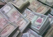 कमल गाउँपालिकाको बजेट रु ३३ करोड