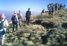पर्यटकसँग हैन, व्यवसायीसँग कर लिनुपर्छ: पर्यटन व्यवसायी