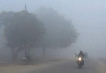 चिसोका कारण तीन वर्षीय बालकको मृत्यु