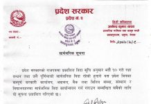 रक्षा बन्धनका लागि प्रदेश २ मा अदालत र बैंकसहित सम्पूर्णमा सार्वजनिक विदा