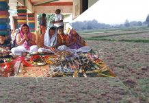 सप्तरीमा पानी नपर्दा रोपाइँमा ढिला, प्रमुख जिल्ला अधिकारी द्वारा बिशेष पूजा