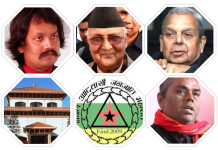 संविधान दिवसमा कस्ले के गर्दैछ? (सीके राउतदेखि प्रधानमन्त्रीसम्मको कार्यक्रम)