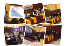 अन्तर्राष्ट्रिय मधेशी समाजको पहलः जल स्रोत र बाढी समस्या बारे बहस