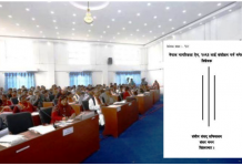 केन्द्रीय सरकारलाई अर्को चूनौतीः प्रदेश २ बाट नागरिकता सम्बन्धी प्रस्ताव पारित