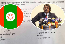 डा.राउतको ११ बुँदे सहमतिले मधेशलाई यस्ता ११ फाइदा
