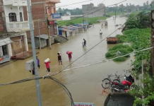 लगातार वर्षाका कारण जलेश्वर डुबानमा, जताततै पानी नै पानी