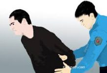 यौन हिँसाको आरोपमा क्याम्पसका प्राध्यापक पक्राउ