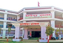 प्रदेश २ मा आवश्यकता र प्राथमिकताका आधारमा योजना तर्जुमा गर्नुपर्छ : मन्त्री यादव