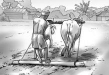 ‘कमैया झैँ हरुवाचरुवाको पनि मुक्ति हुनुपर्छ’
