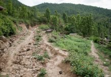 बिरामीलाई अस्पताल पु¥याउन न बाटो छ, न सवारी साधन